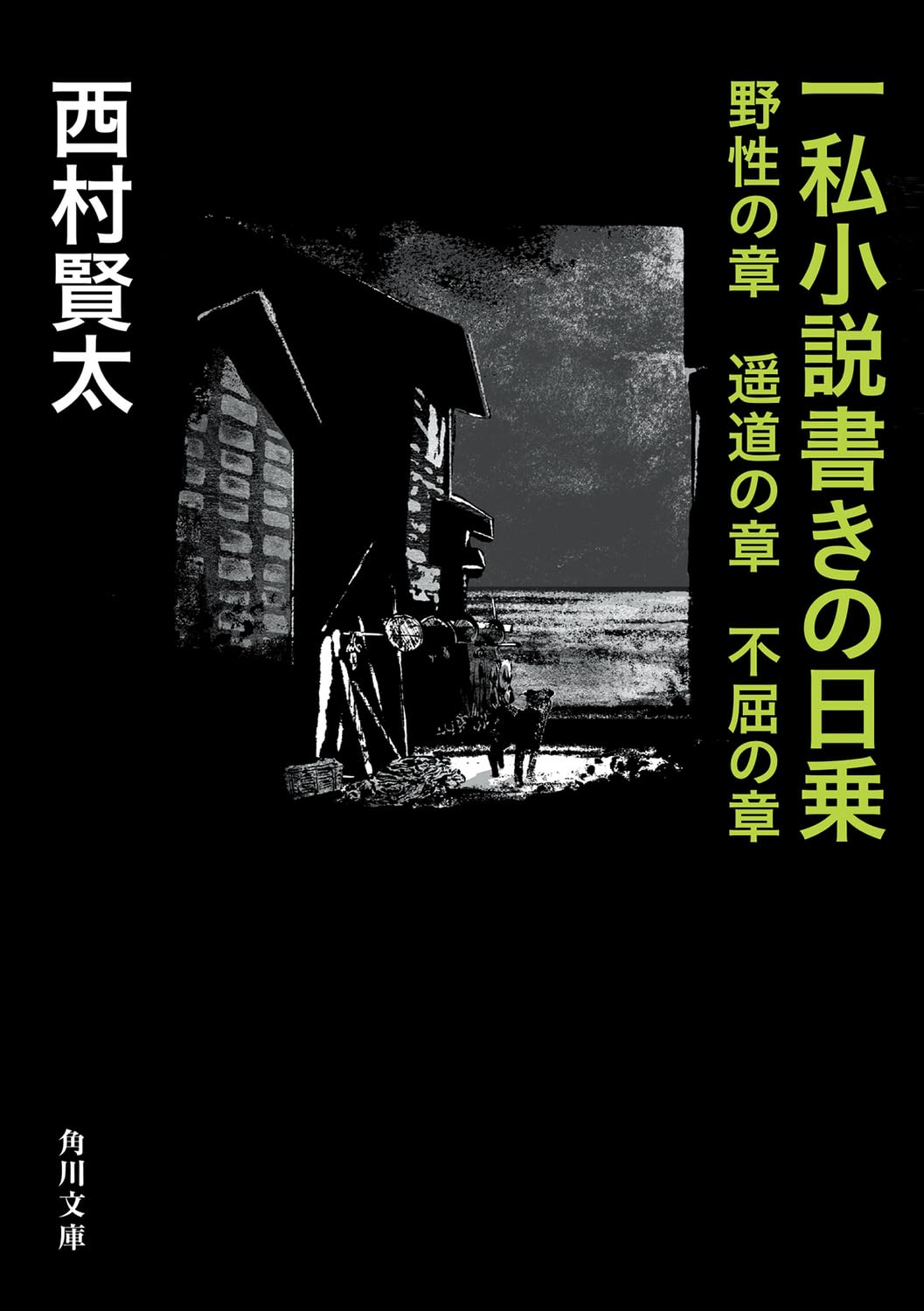 Amazon.co.jp: 一私小説書きの日乗 野性の章 遥道の章 不屈の章 (角川
