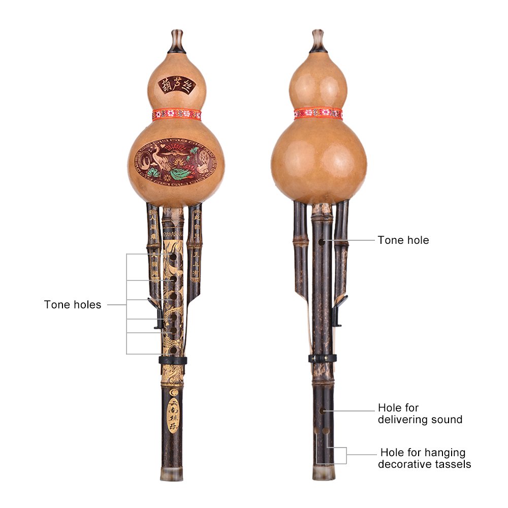 Amazon.co.jp: Benkeg 中国瓢箪笛、初心者の音楽愛好家のためのケース