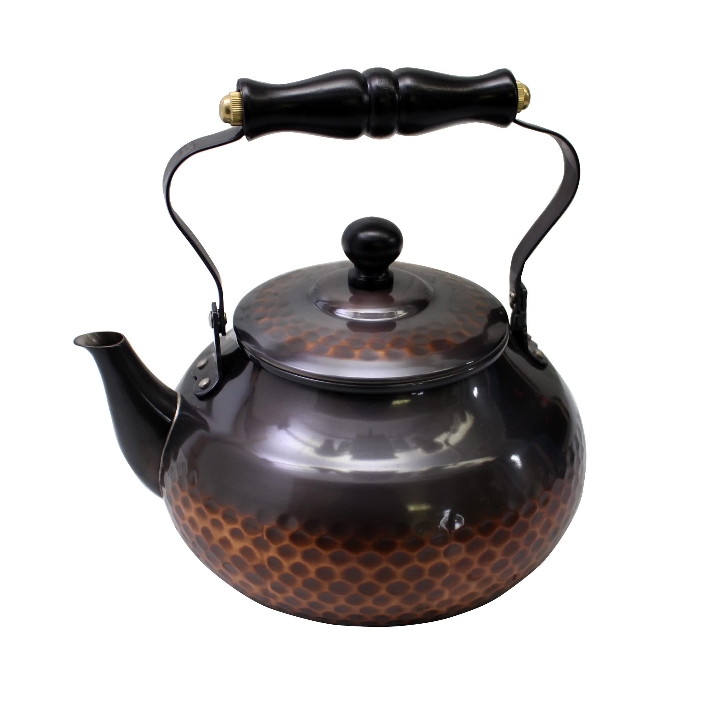 えびけん 煎茶道具 銅製漢詩山水梅文湯沸し 薬缶 時代箱付 M R6738