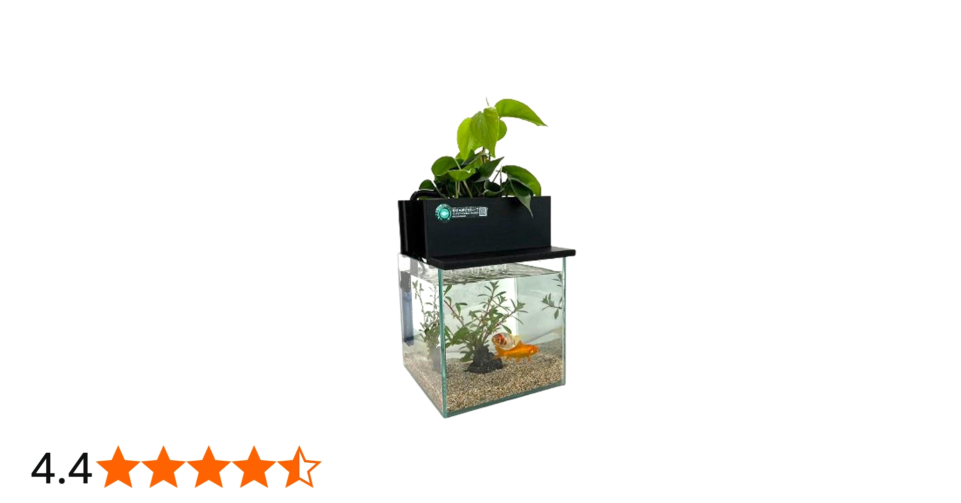 Amazon | せせらぎビオトープ 水替え不要【水槽セット】 20cm型 【色