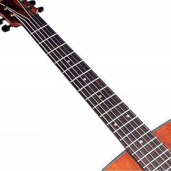 Amazon | Bromo BAT1M ブロモ アコースティックギター トップ単板