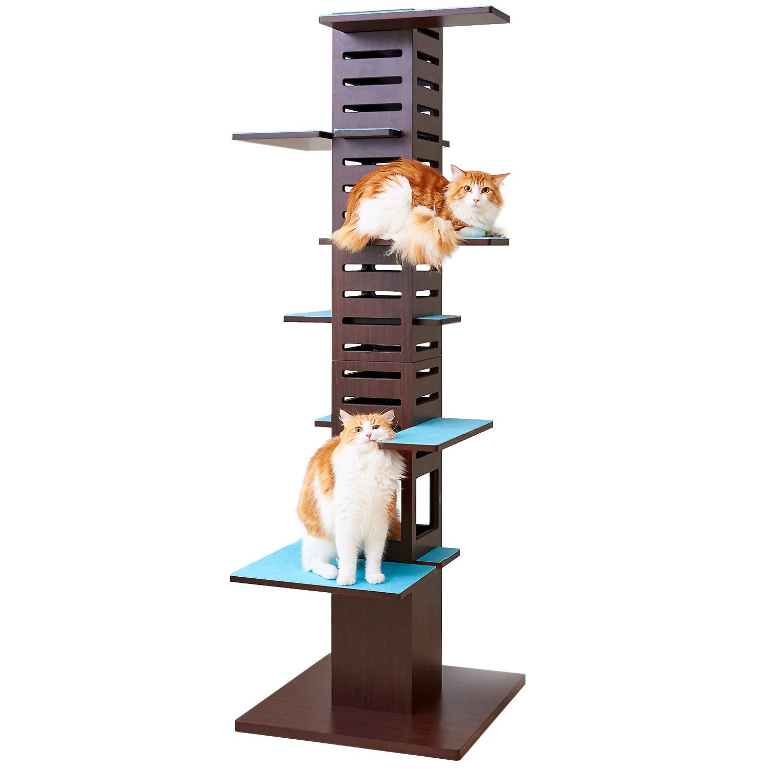 Amazon | 【OFT】 necobaco T ブラウン/ミント キャットタワー 木製