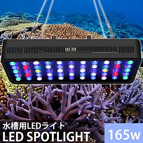 サンゴ水槽照明【ブラックボックス】は本当に効果ある❔ | aqua-eyes