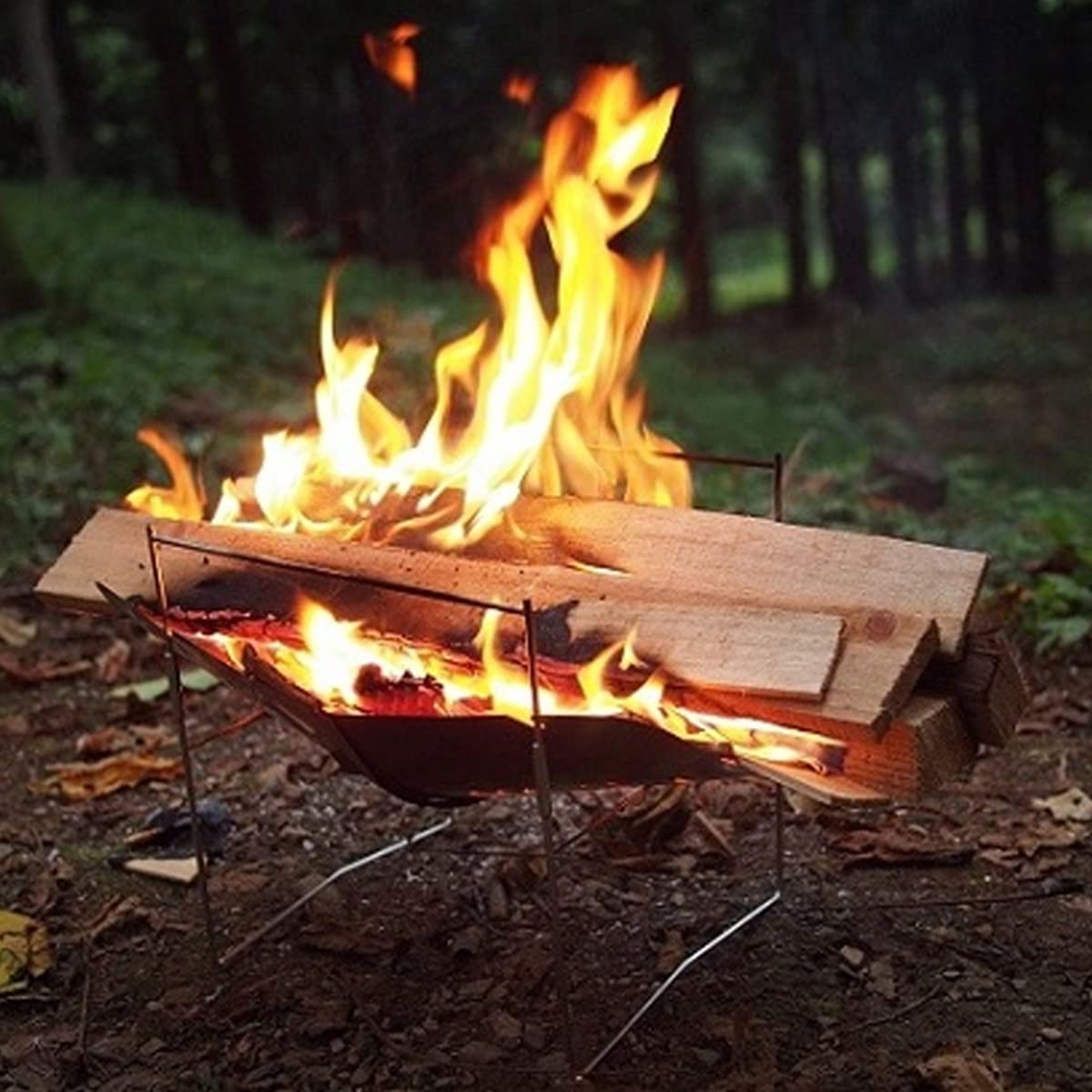 Amazon | ピコグリル 398 Picogrill398 PG398 正規販売店商品