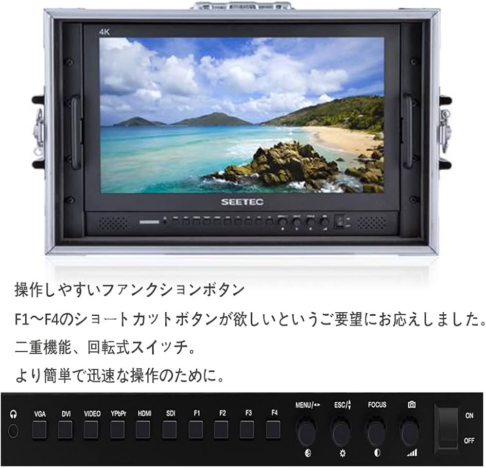 Amazon.co.jp: SEETEC P173-9HSD-CO 17.3 インチ プレイバックモニター