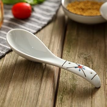 61j+ZC7bk8L._AC_UF350,