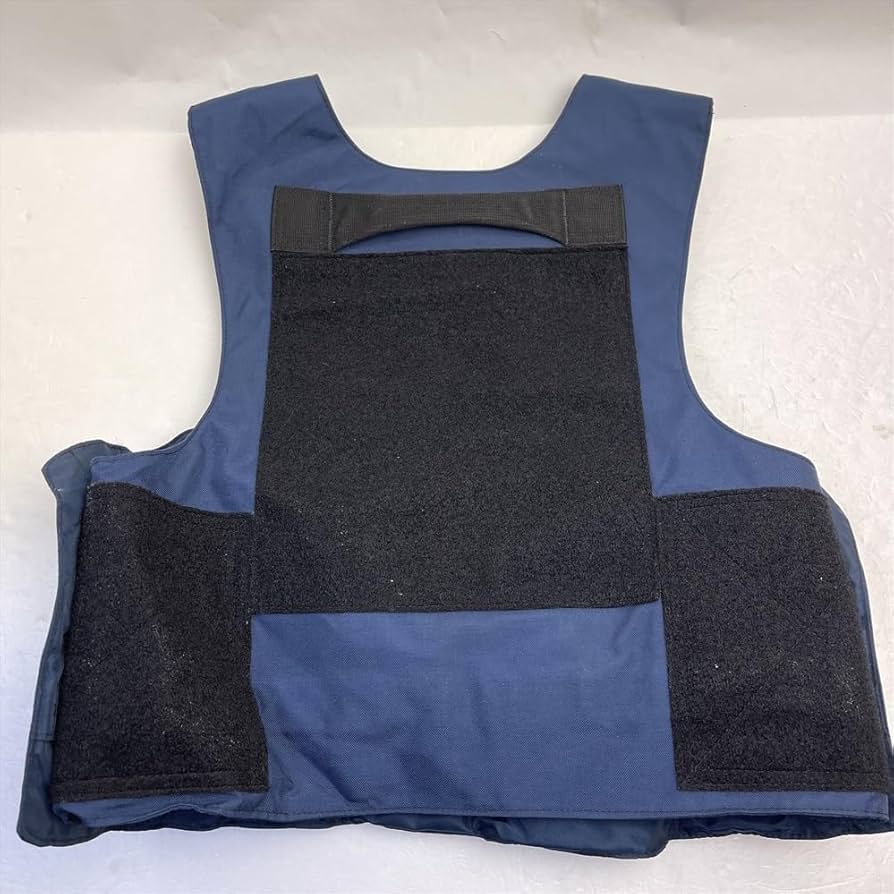 Amazon.co.jp: 実物DBT製 郵政捜査官 USPIS用 TAS Ⅱ プレートキャリア