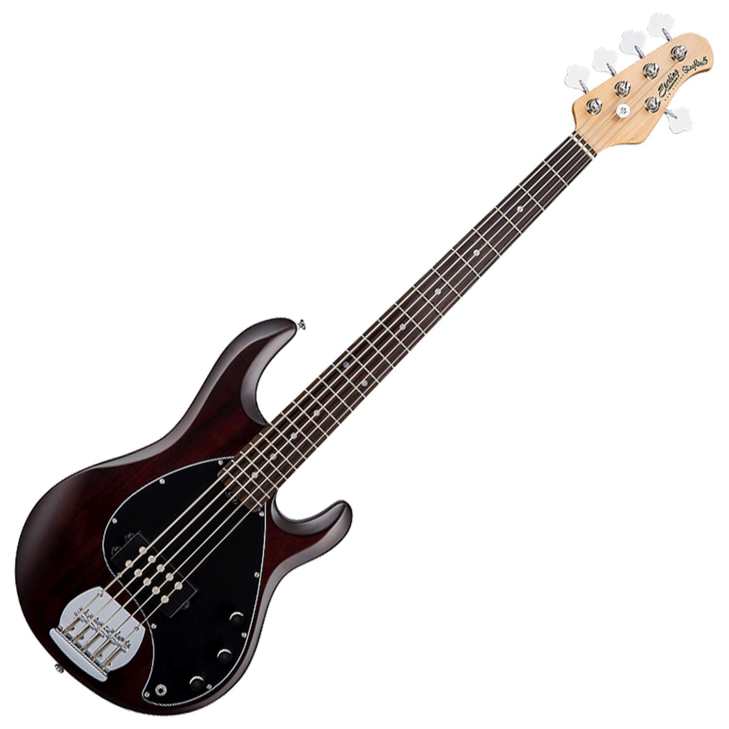 Amazon | Sterling By Musicman SUB STINGRAY RAY5 WALNUT SATIN 5弦
