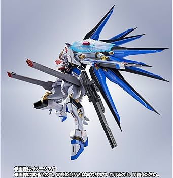 Amazon.co.jp: METAL ROBOT魂 ＜SIDE MS＞ ストライクフリーダムガ