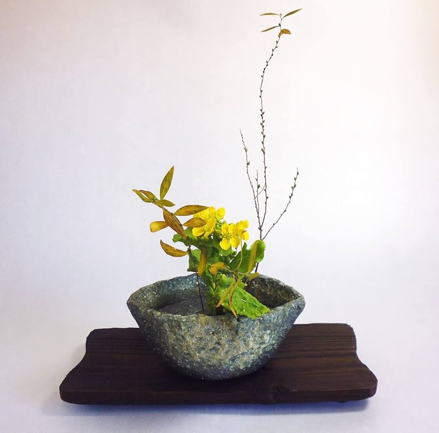 Amazon.co.jp: ミニ生け花セット 華恋【NO32 舟形水盤（大）】信楽焼