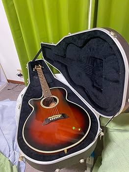 Amazon.co.jp: 長渕剛愛用 Takamine エレアコPT106 純正ハードケース付