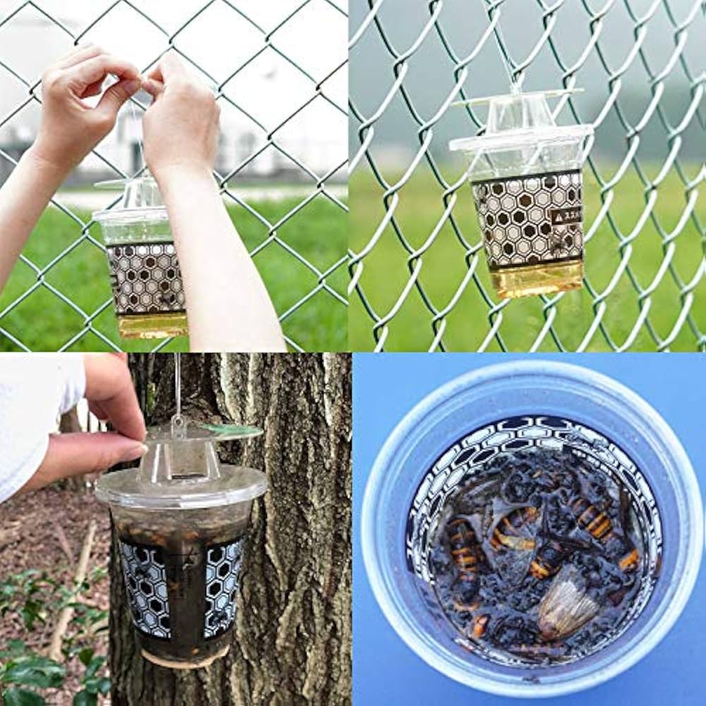 Amazon | SHIMADA 業務用スズメバチ捕獲器 2個入 | 捕虫器