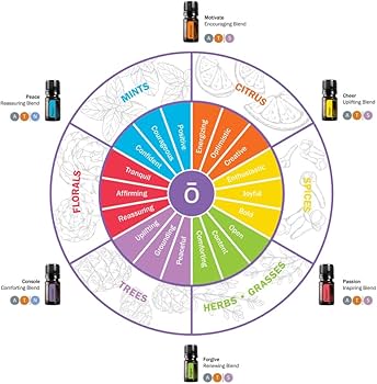 Amazon.com: doTERRA - Emotional Aromatherapy System Kit - 6 in 1