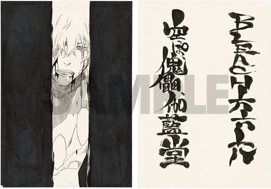Amazon.co.jp: BLEACH 原画展 複製原画 浦原喜助 XY2C1 : おもちゃ