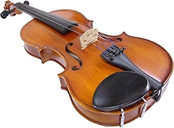 Amazon | 恵那バイオリン 4/4(大人サイズ) ケース付き3点セット
