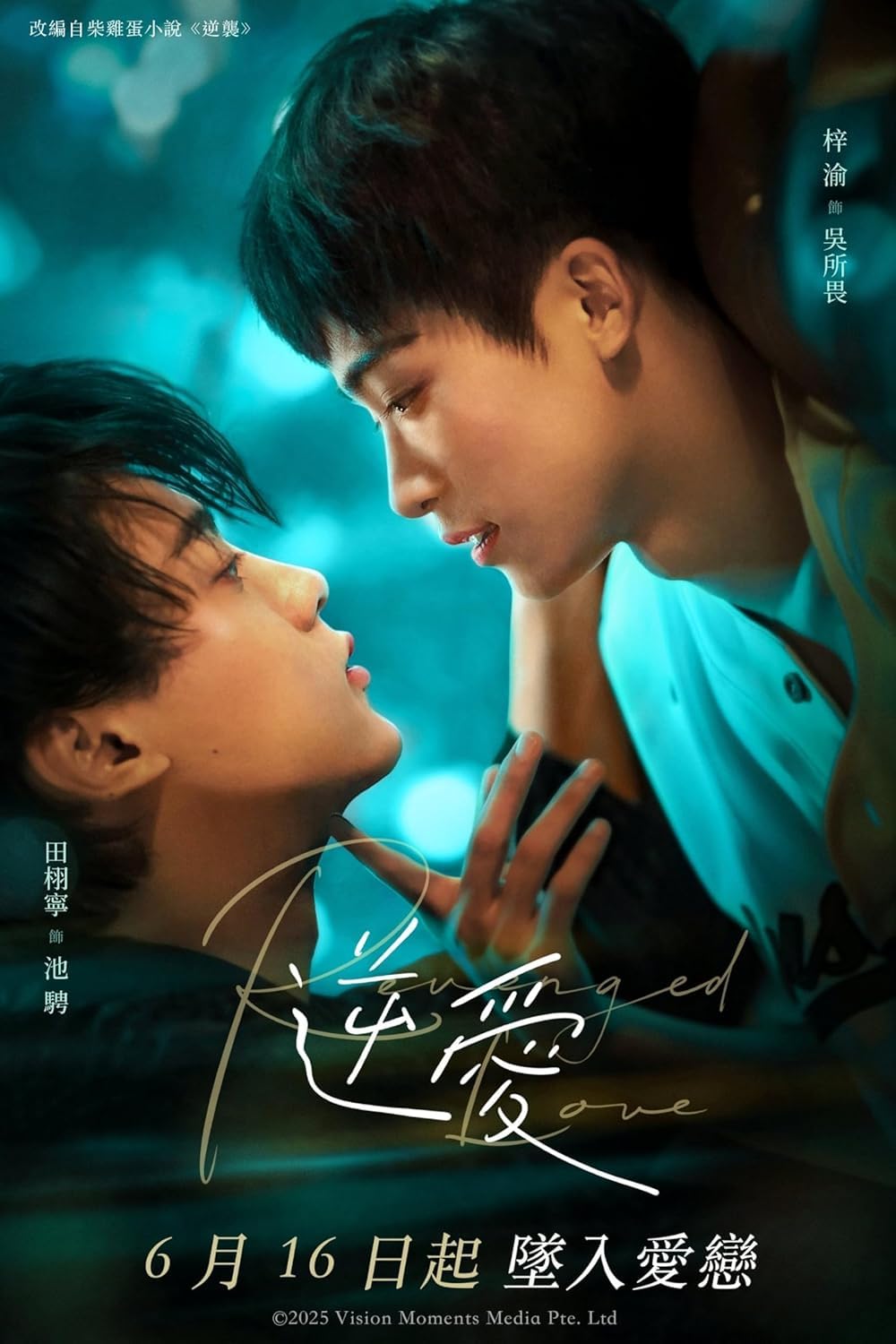 Amazon.co.jp: 中国BLドラマ 逆愛～Revenged Love～ DVD 日本語字幕