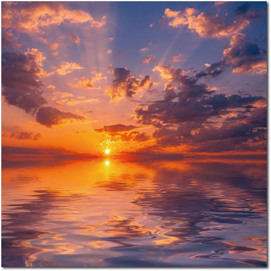 Amazon.co.jp: アートパネル 海 海面 海岸 浜辺 風景 景色 夕焼け 夕日