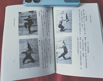 Amazon.co.jp: 中国語書籍 八極拳術図説 劉雲樵 香港 功夫 中国武術