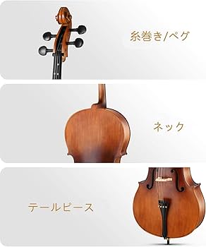 Amazon.co.jp: Eastar チェロ フルサイズ 天然ワニス 艶消し 初心者