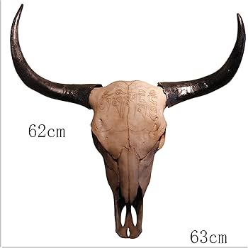 61fG382Lx4L._AC_UF350,