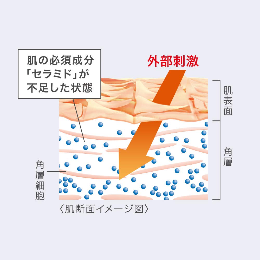 Amazon | キュレル 潤浸保湿 フェイスクリーム 70g【フェイス