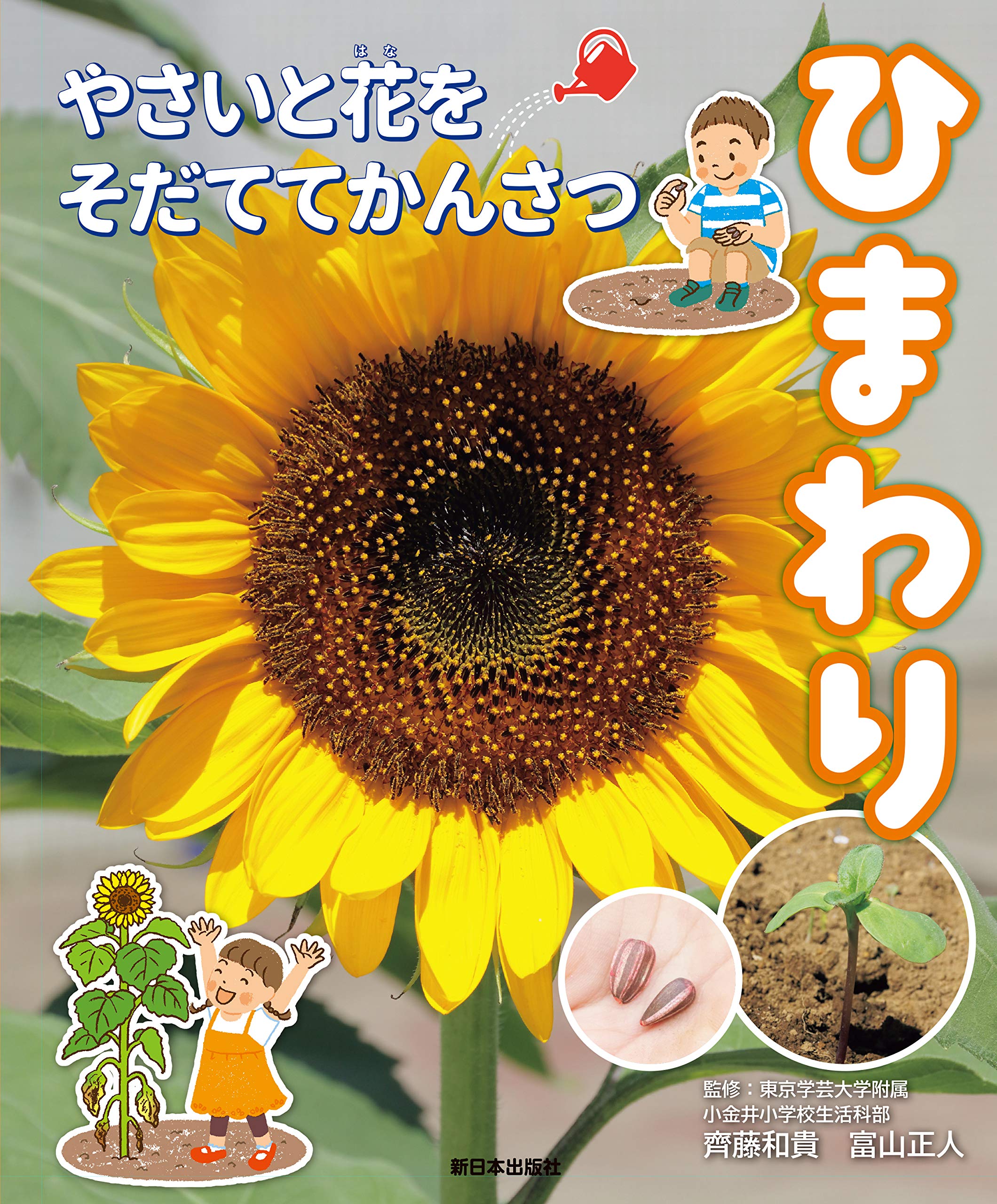 ひまわり (やさいと花をそだててかんさつ) | 東京学芸大学附属小金井