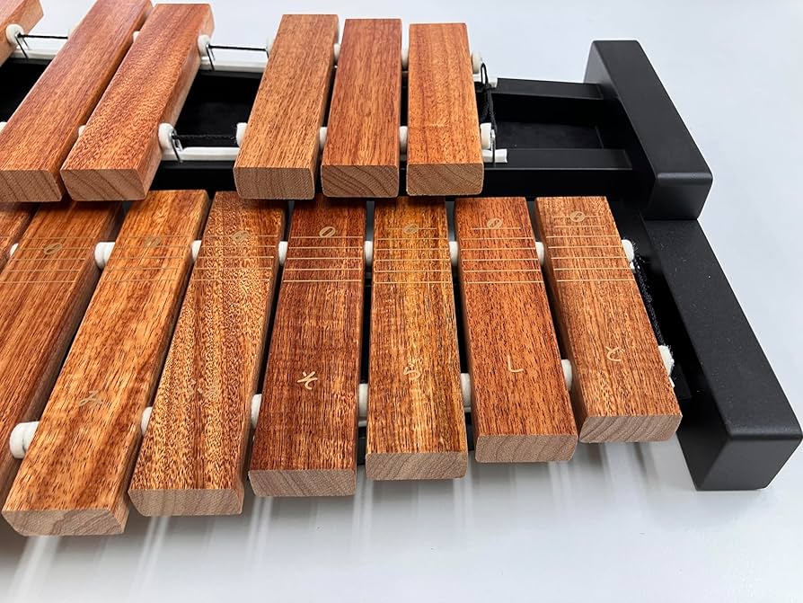 Amazon | ゼンオン シロフォン 32音 F45~C76 バチ付き ZX-32BK 日本製