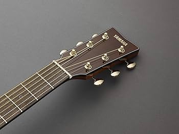 Amazon.com: Yamaha Storia III Acoustic Guitar, Chocolate Brown