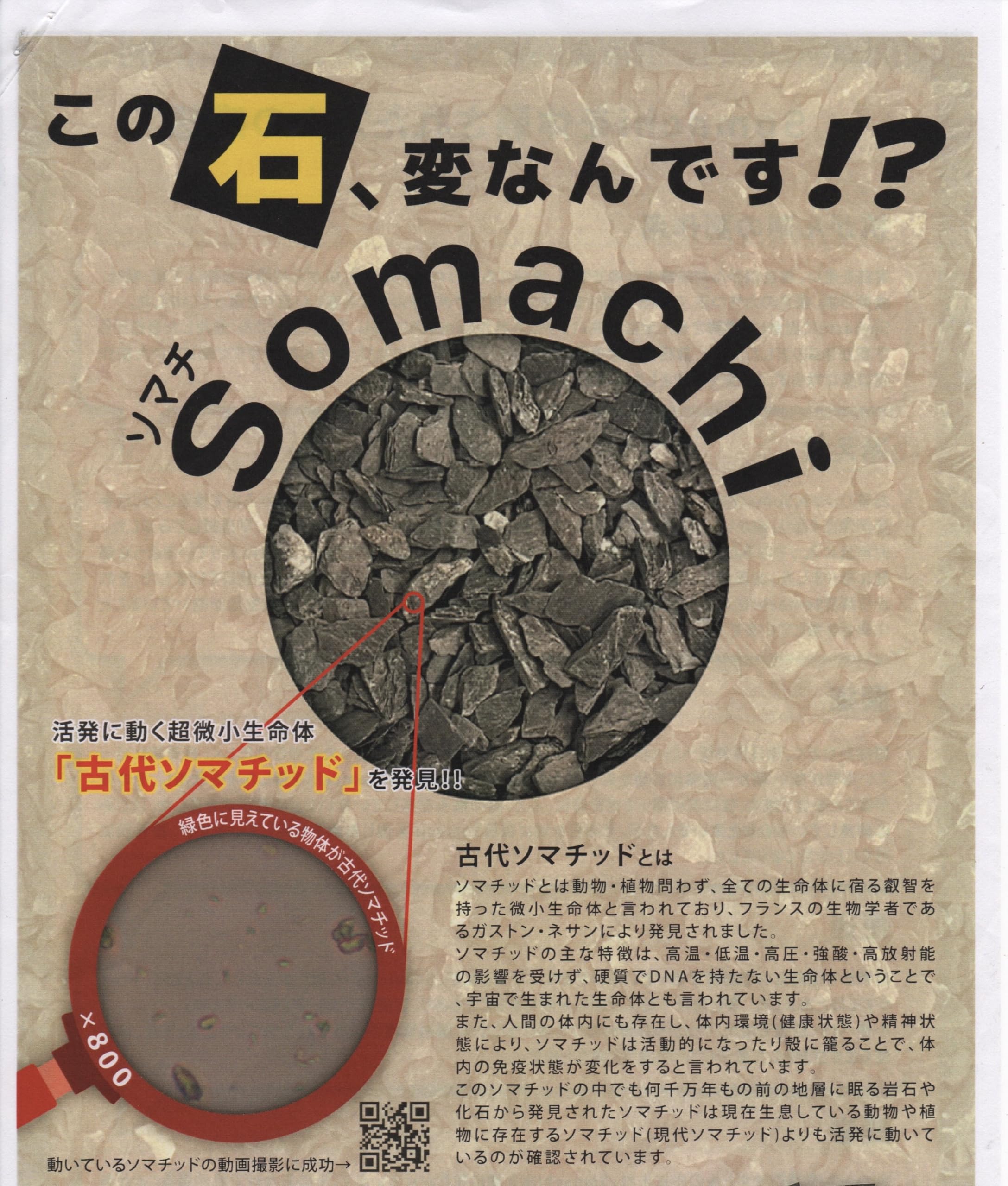 Amazon.co.jp: 古代ソマチッド 石タイプ100g ソマチッド SOMACHI