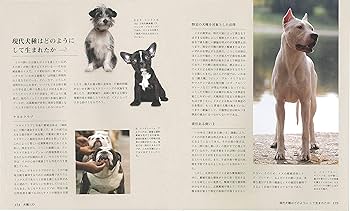 91EGi9JtYdL._AC_UF350,