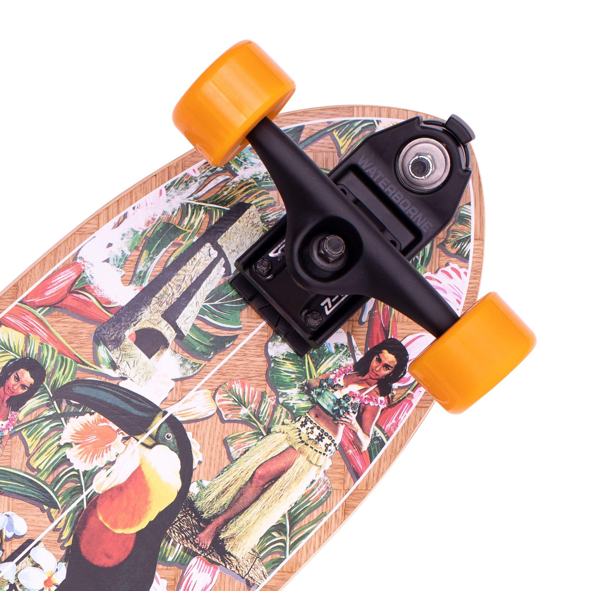 Amazon.com : Z-Flex Banana Train Surfskate Fish Longboard, Adults