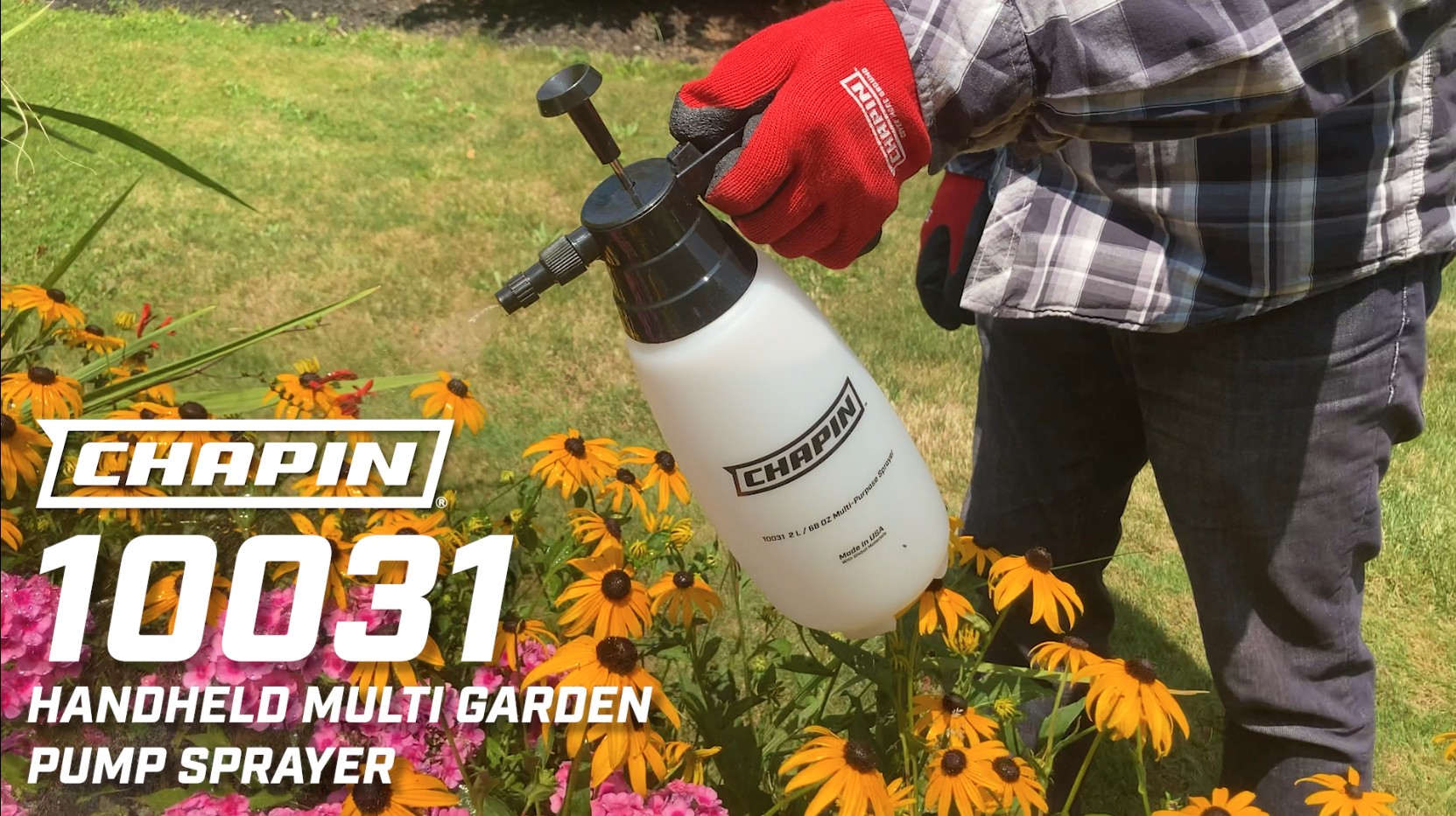 Amazon.com : Chapin 10031 Handheld Pump Sprayer, 88oz, Multi