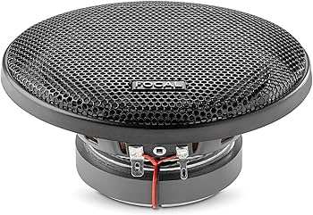 Amazon.com: Focal ACX100 Auditor EVO Series 4