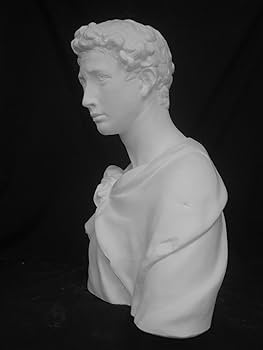 81xN7MSx7cL._AC_UF350,