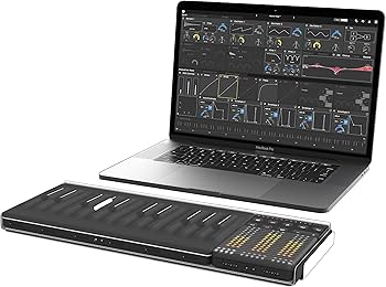 Amazon.com: ROLI Songmaker Kit : Musical Instruments