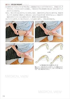 セラピストのための 機能解剖学的ストレッチング 下肢・体幹 | 鵜飼