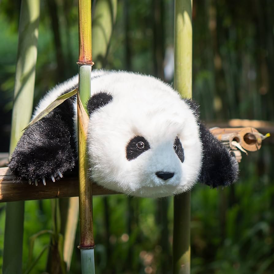 Amazon.co.jp: Chongker パンダのぬいぐるみがリアルでリアル、パンダ