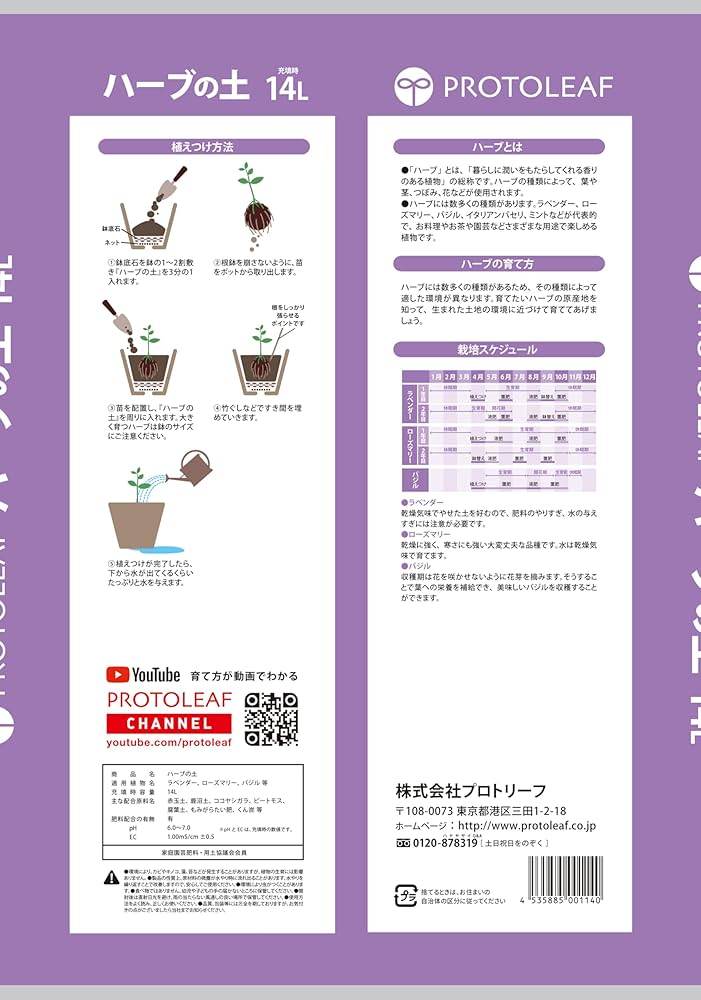 81TfsY62rXL._AC_UF1000,