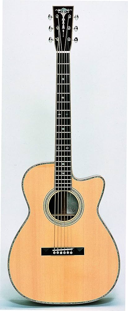 Amazon.co.jp: ASTURIAS（アストリアス） アコースティックギター SOLO