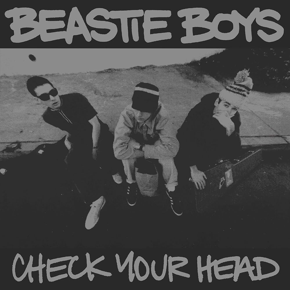 Check Your Head (30th Anniversary Set): 0602445493296: Amazon.com