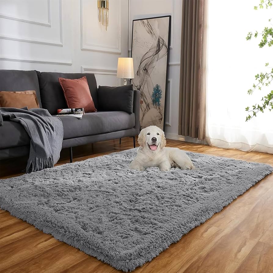 Evitany Indoor Modern Soft Touch Area Rug Thickened Shaggy Rugs