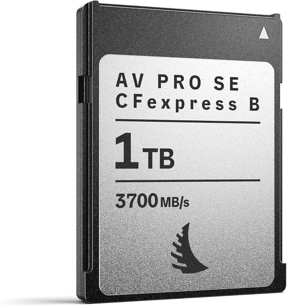 Amazon | Angelbird AV PRO SE CFexpress B v4 1 TB – CFexpress 4.0