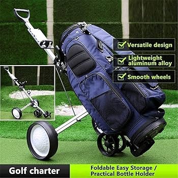 81IAVHCNX6S._AC_UF350,