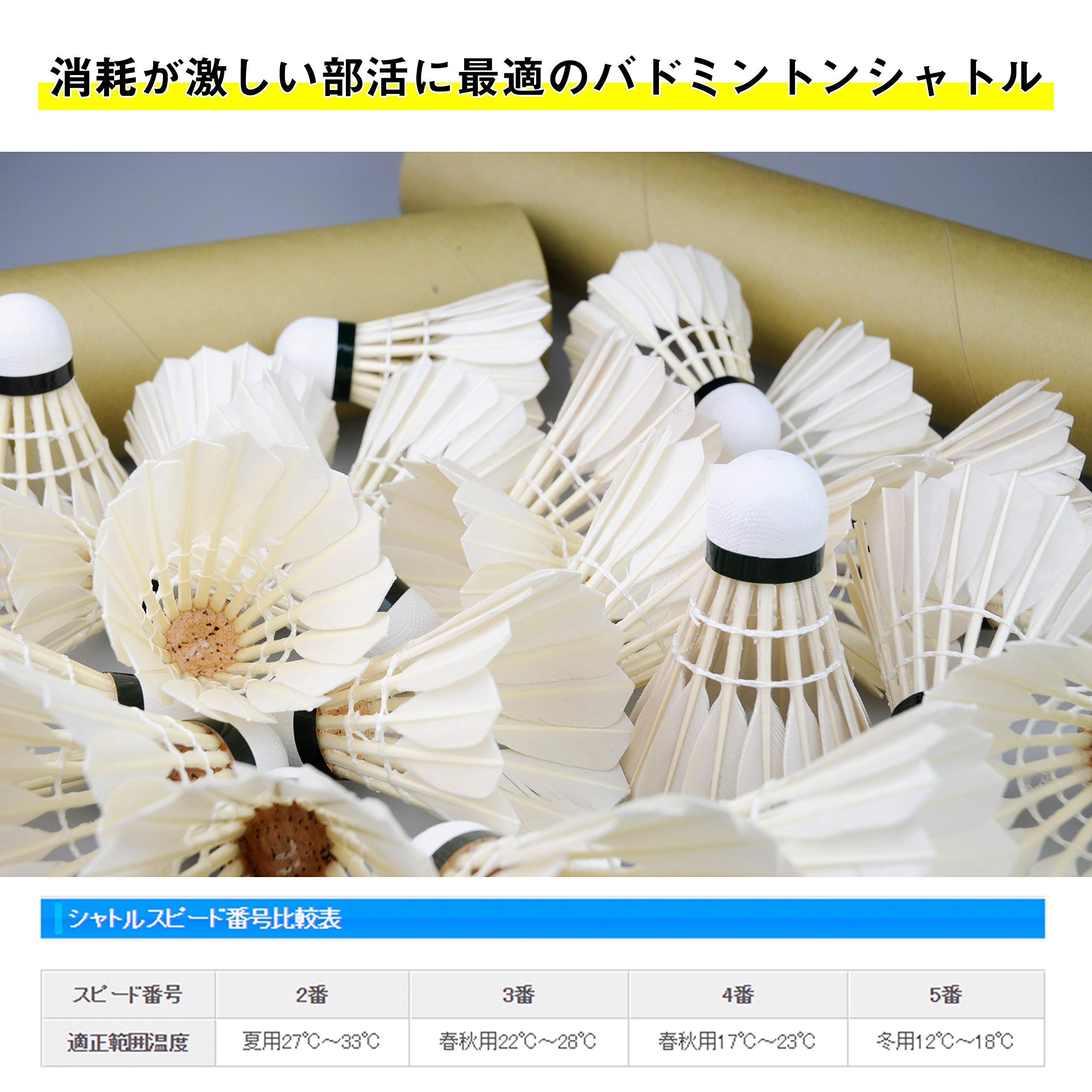 Amazon | 頑張らないバドミントン研究会 バドミントン シャトル