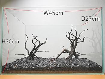 Amazon | 45cm水槽用 流木3本セット（黒色）【AQUASHOP wasabi