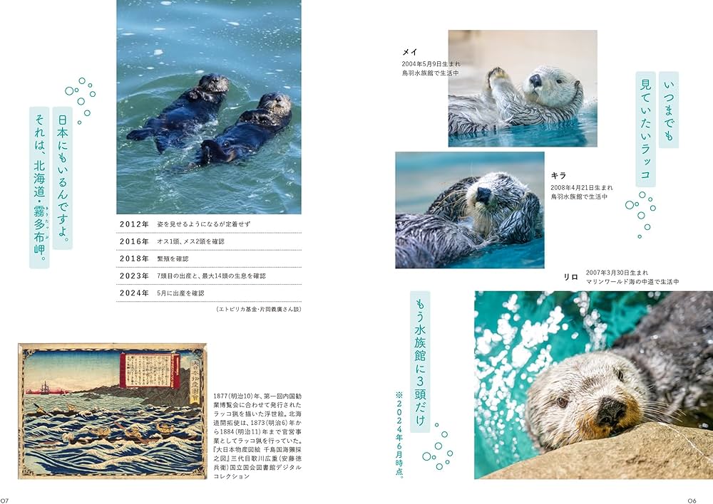 81L3rD0rXgL._AC_UF1000,