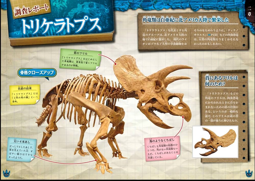 Amazon.co.jp: 大迫力!恐竜大百科 : 福井県立恐竜博物館: 本