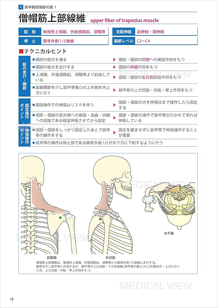 セラピストのための 機能解剖学的ストレッチング 上肢 | 林 典雄, 鵜飼