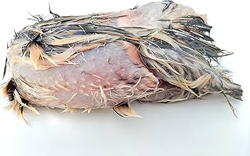 Amazon | フクロウ・タカ・ハヤブサ等の餌 冷凍ウズラ処理済 個包装