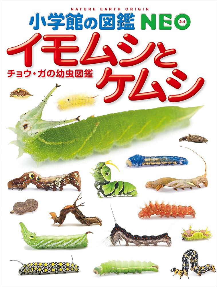 小学館の図鑑NEO イモムシとケムシ ～チョウ・ガの幼虫図鑑～ | 鈴木